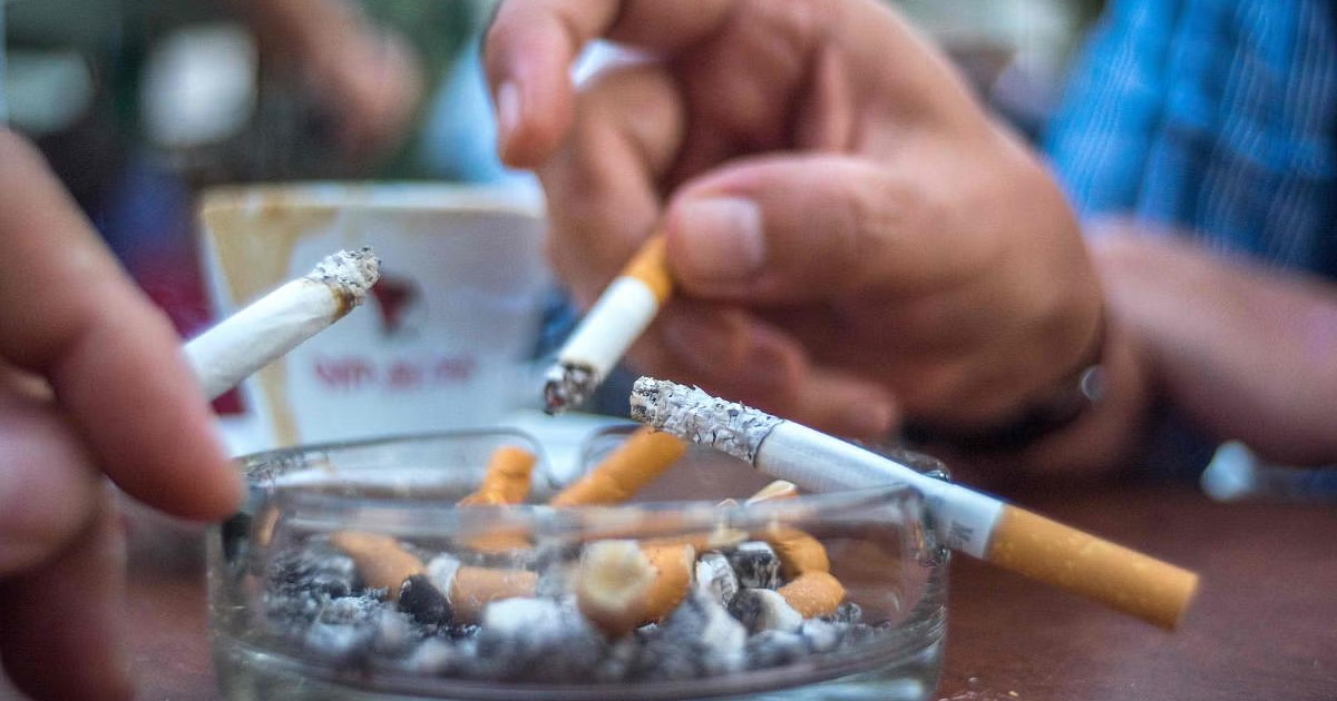 Affordable Same-Day Cigarette Delivery Service in Canada