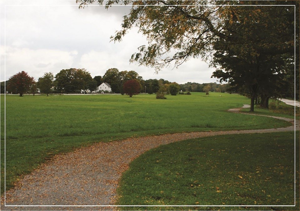A scenic park with a winding path surrounded by green grass and trees.