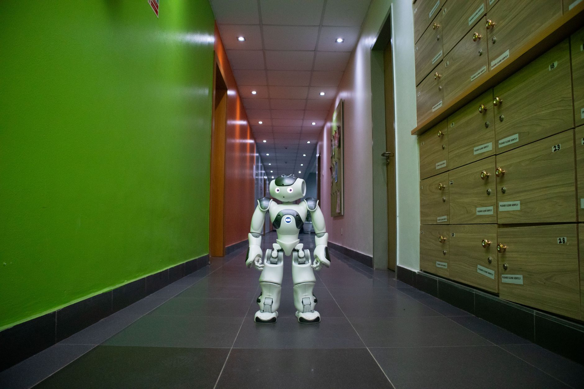 AI safety institute